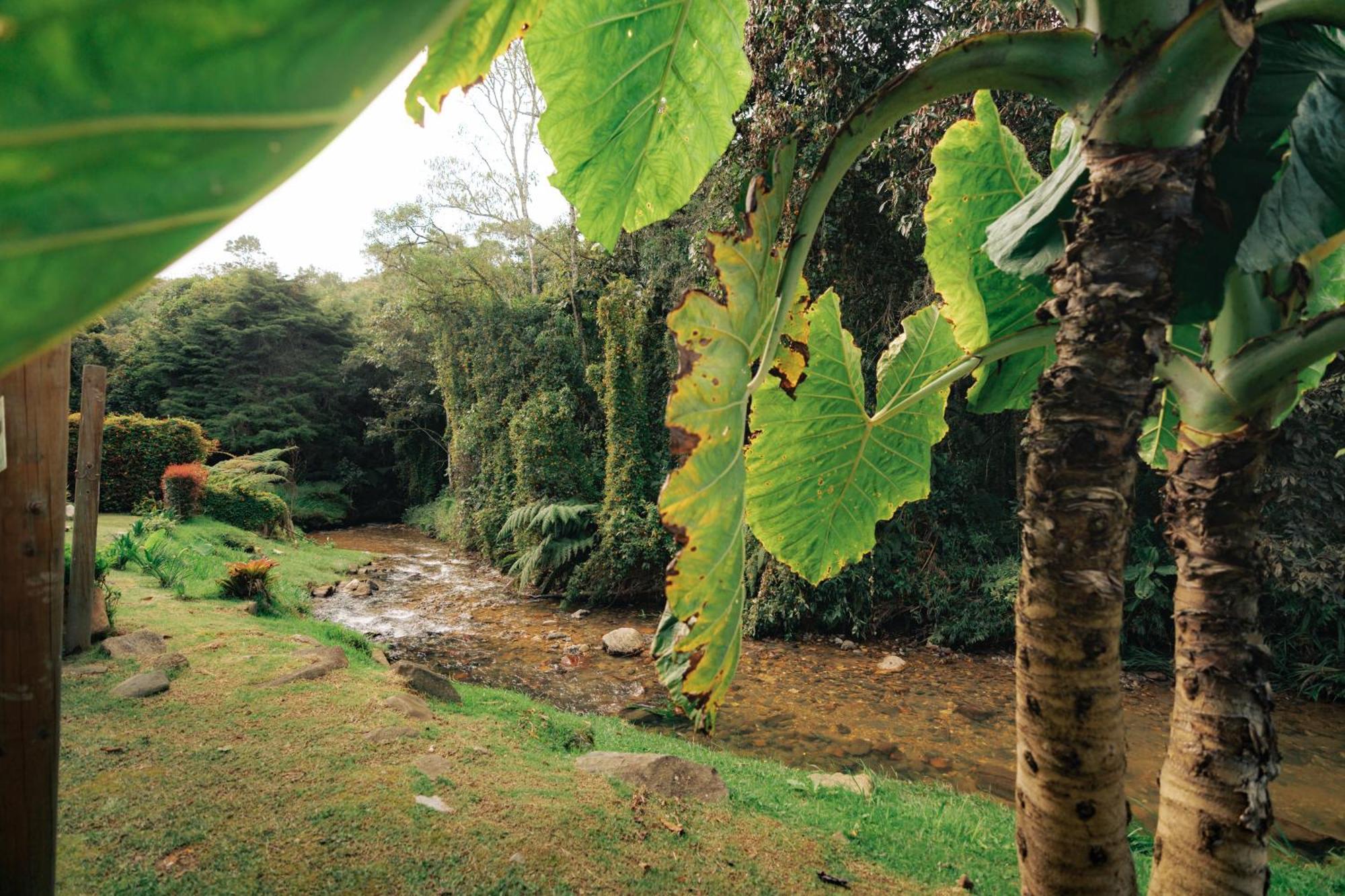 Hotel Bubblesky Glamping 15 Min From Medellin Rionegro Exterior foto