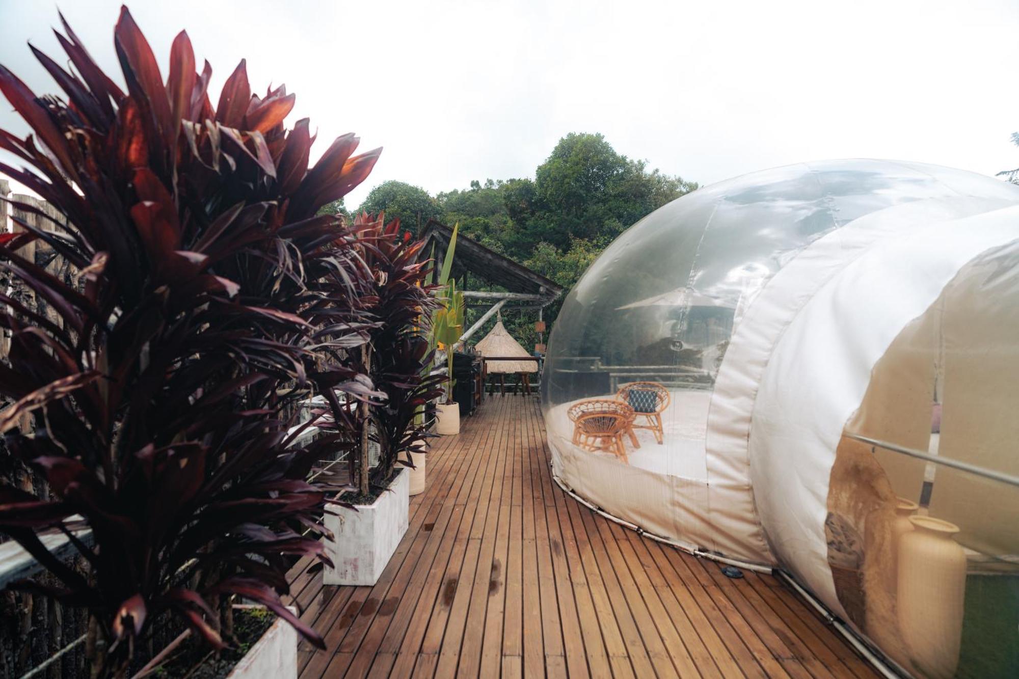 Hotel Bubblesky Glamping 15 Min From Medellin Rionegro Exterior foto